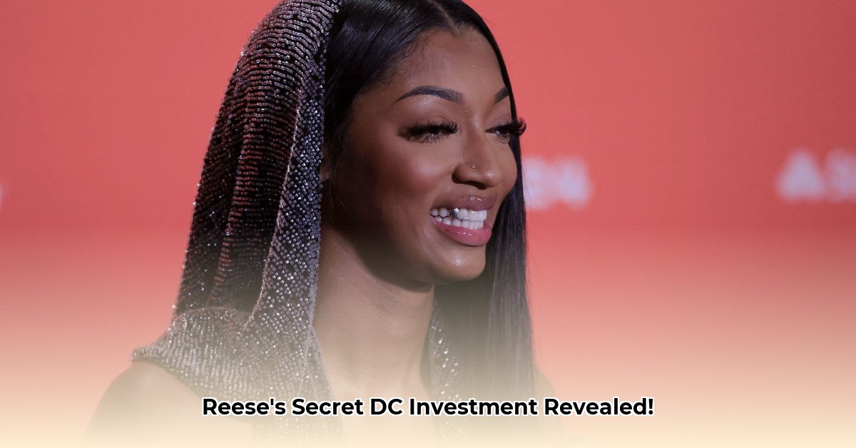 dc-power-fc-net-worth